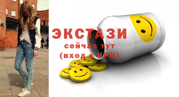 ECSTASY Богородск