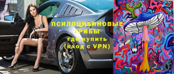 ECSTASY Богородск