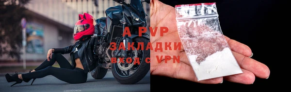ECSTASY Богородск