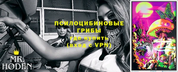 ECSTASY Богородск