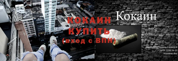 ECSTASY Богородск