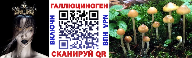 Галлюциногенные грибы Cubensis Горняк